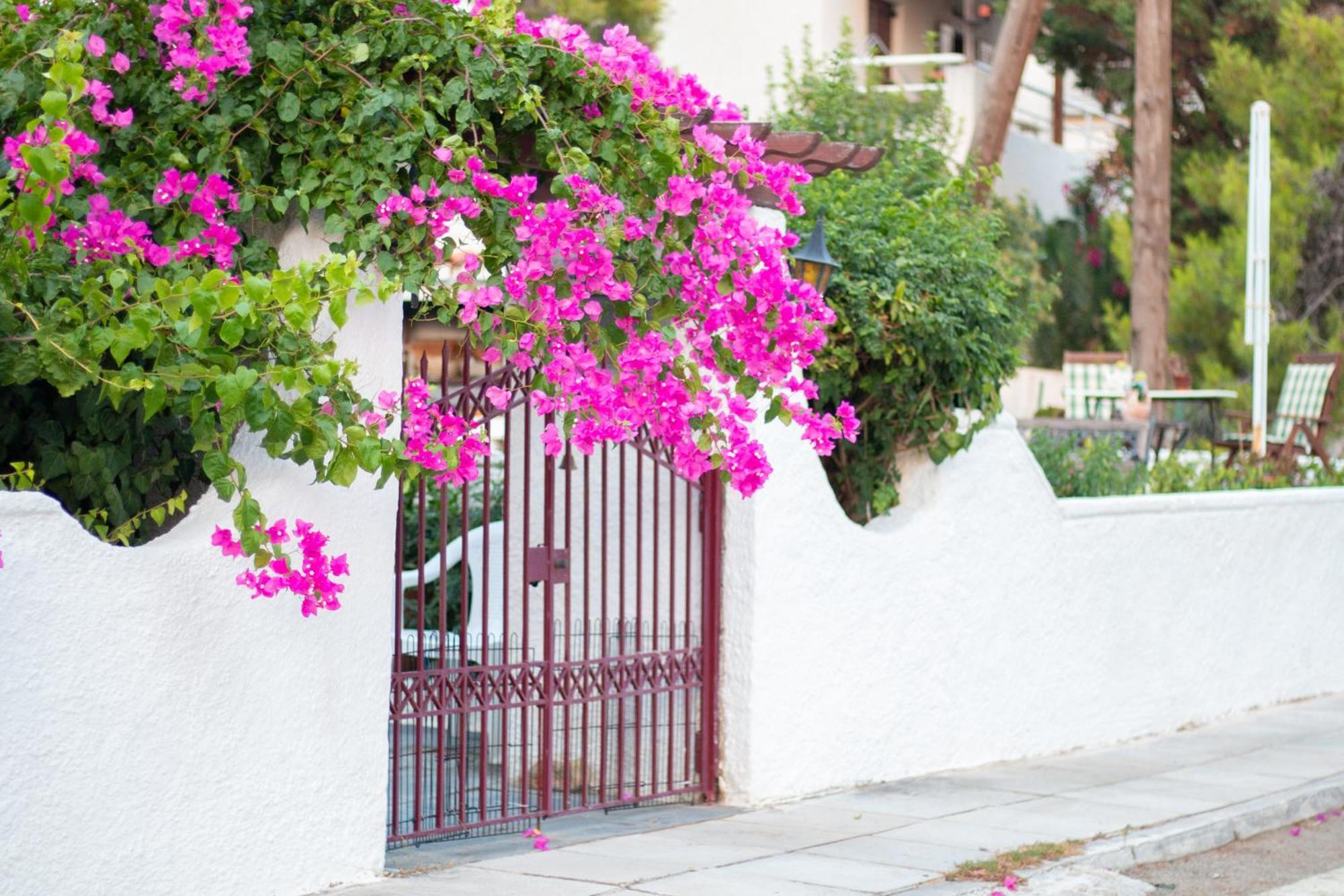 Seaview Apartment - Poros Relaxing Beachfront Flat Poros Town Екстериор снимка